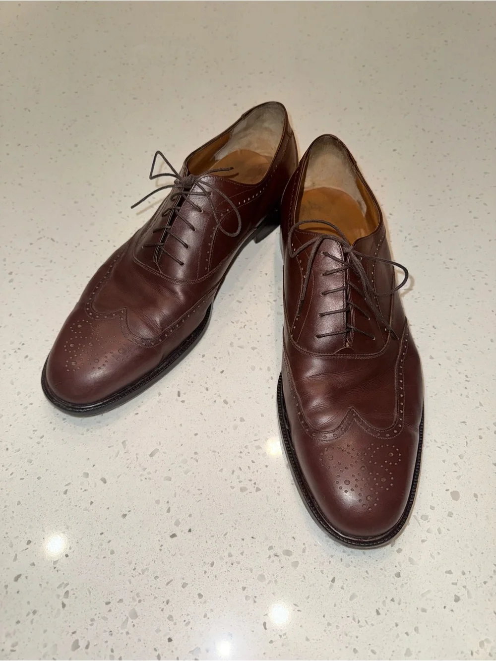 Salvatore Ferragamo Men's Dark Brown Wingtip Oxfords